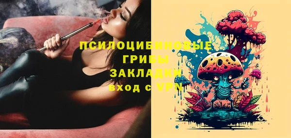 мет Алексин