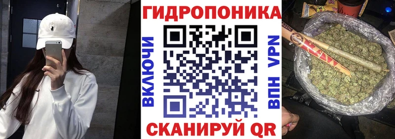 Конопля марихуана магазин продажи Одинцово